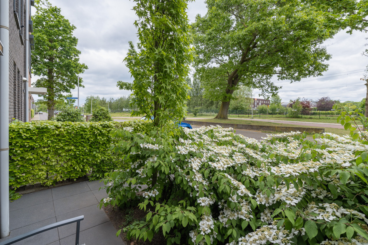 Hollands Hoenlaan 15 (afbeelding 42)