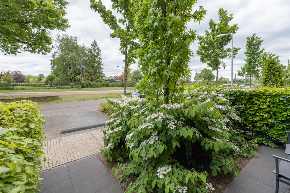 Hollands Hoenlaan 15 (afbeelding 43)