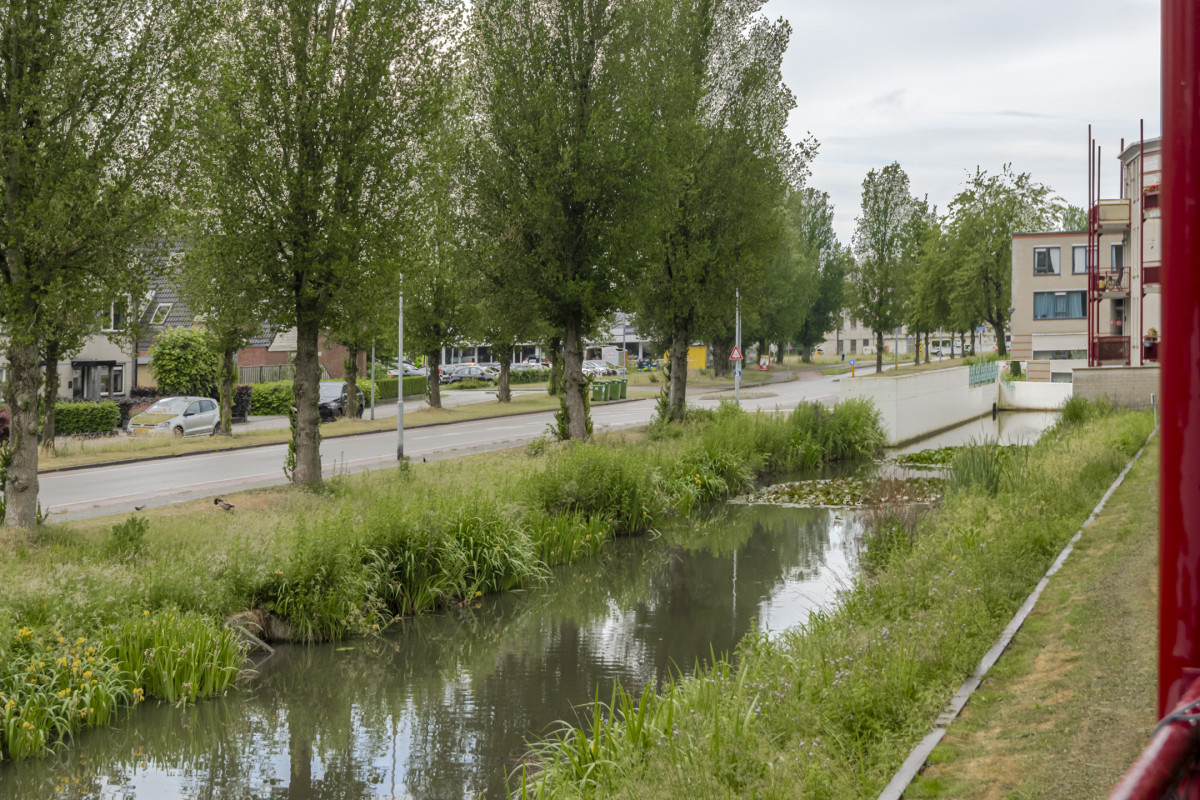 Varenkamp 5 (afbeelding 42)