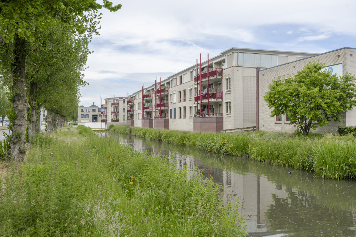 Varenkamp 5 (afbeelding 43)