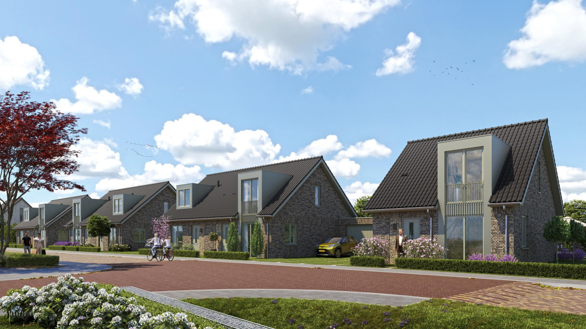 Pinksterbloem 37 (afbeelding 1)