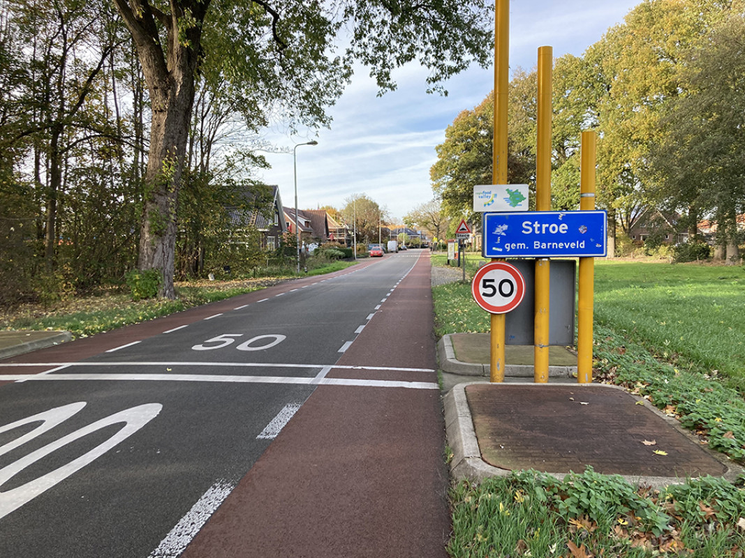 Pinksterbloem 37 (afbeelding 4)