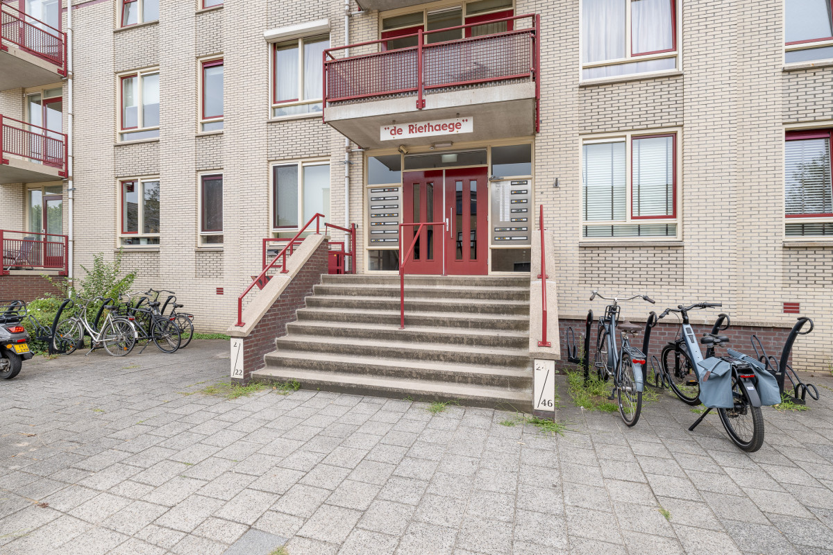 Bongerd 24 (afbeelding 34)