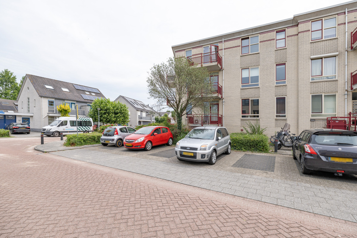 Bongerd 24 (afbeelding 35)