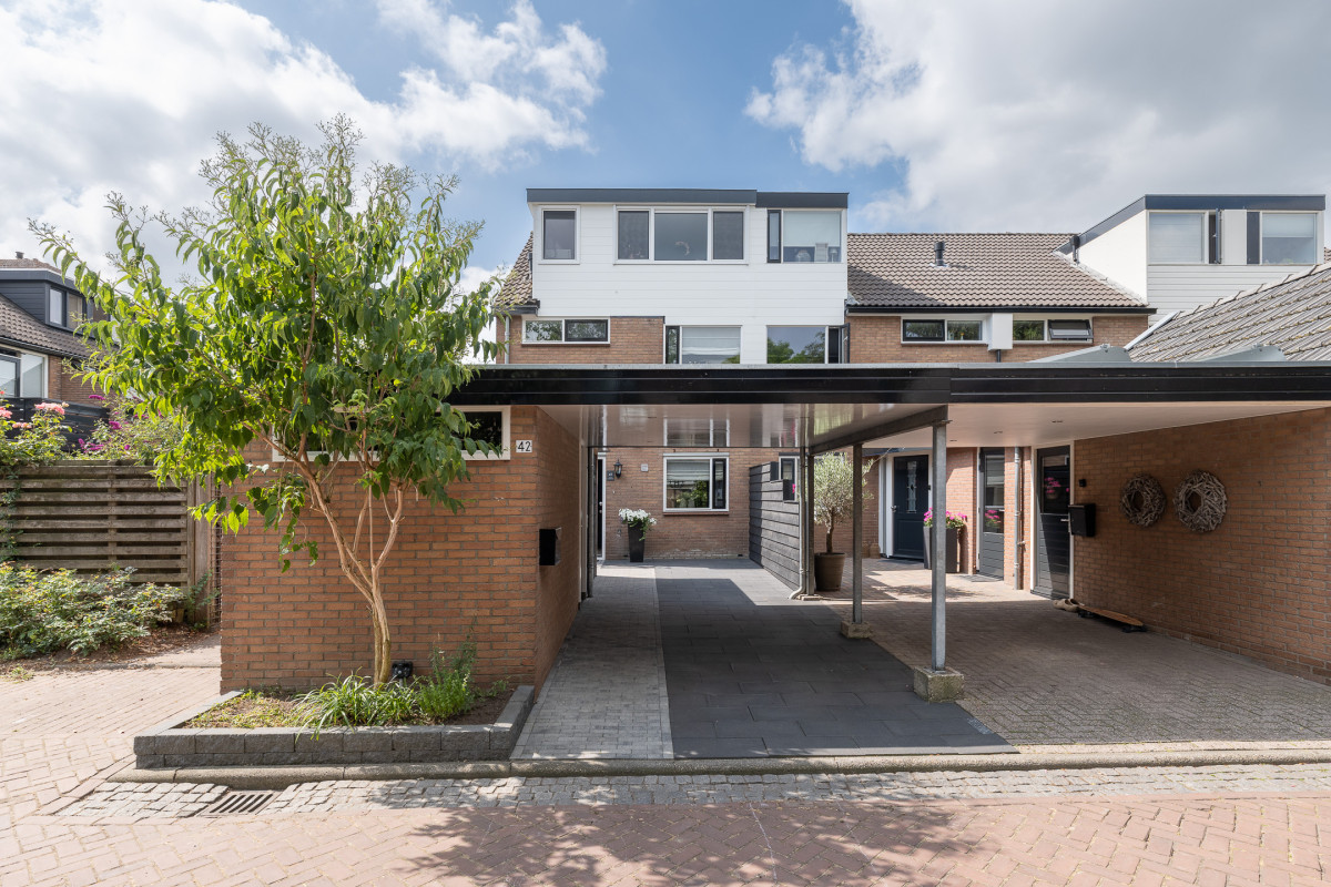Molecaten 42 (afbeelding 1)
