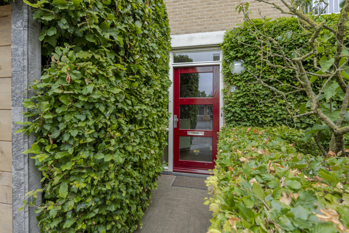 Herfsttuin 1 (afbeelding 4)