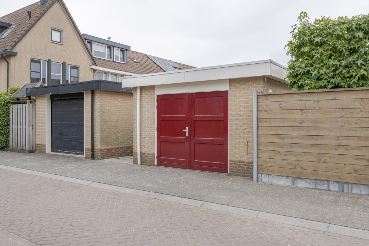 Herfsttuin 1 (afbeelding 51)