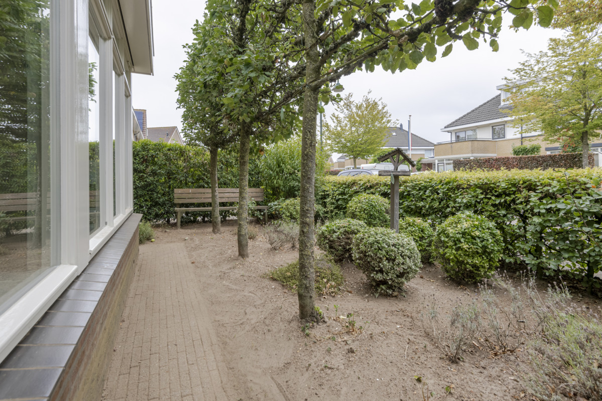 Herfsttuin 1 (afbeelding 53)