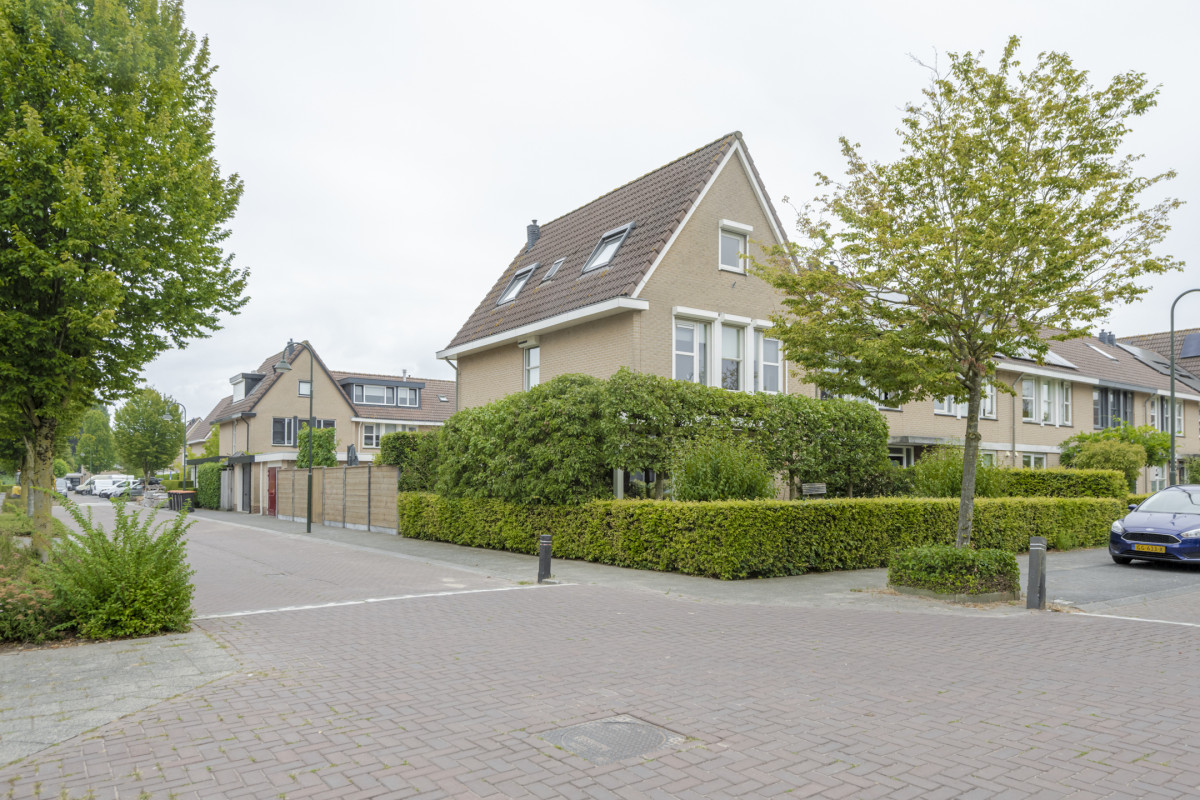 Herfsttuin 1 (afbeelding 56)