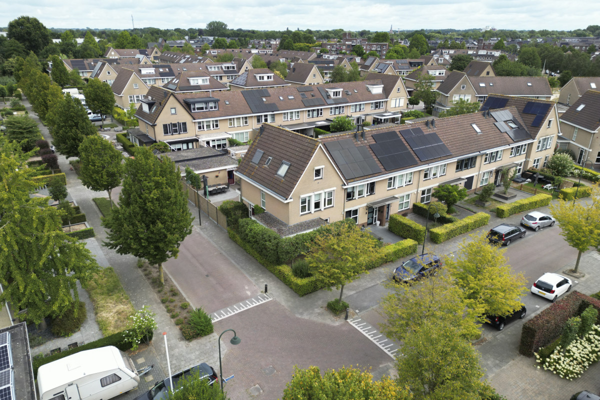 Herfsttuin 1 (afbeelding 58)