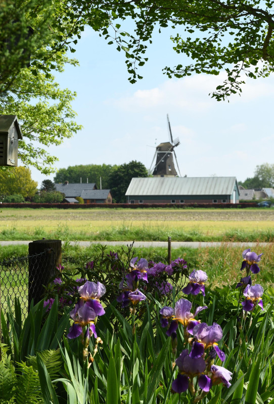 Puurveenseweg 31 (afbeelding 36)