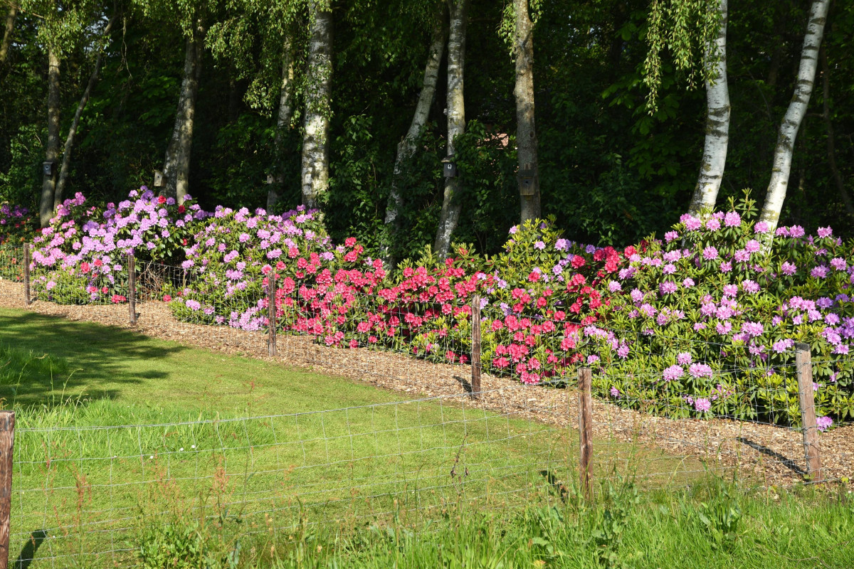 Puurveenseweg 31 (afbeelding 49)