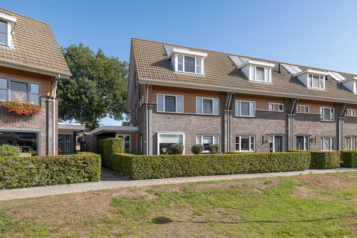 Blauwgras 22 (afbeelding 1)