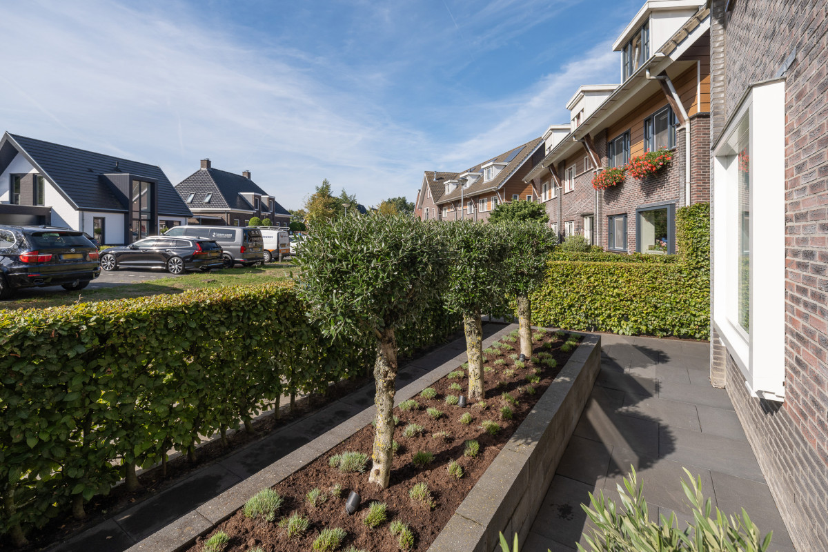 Blauwgras 22 (afbeelding 60)