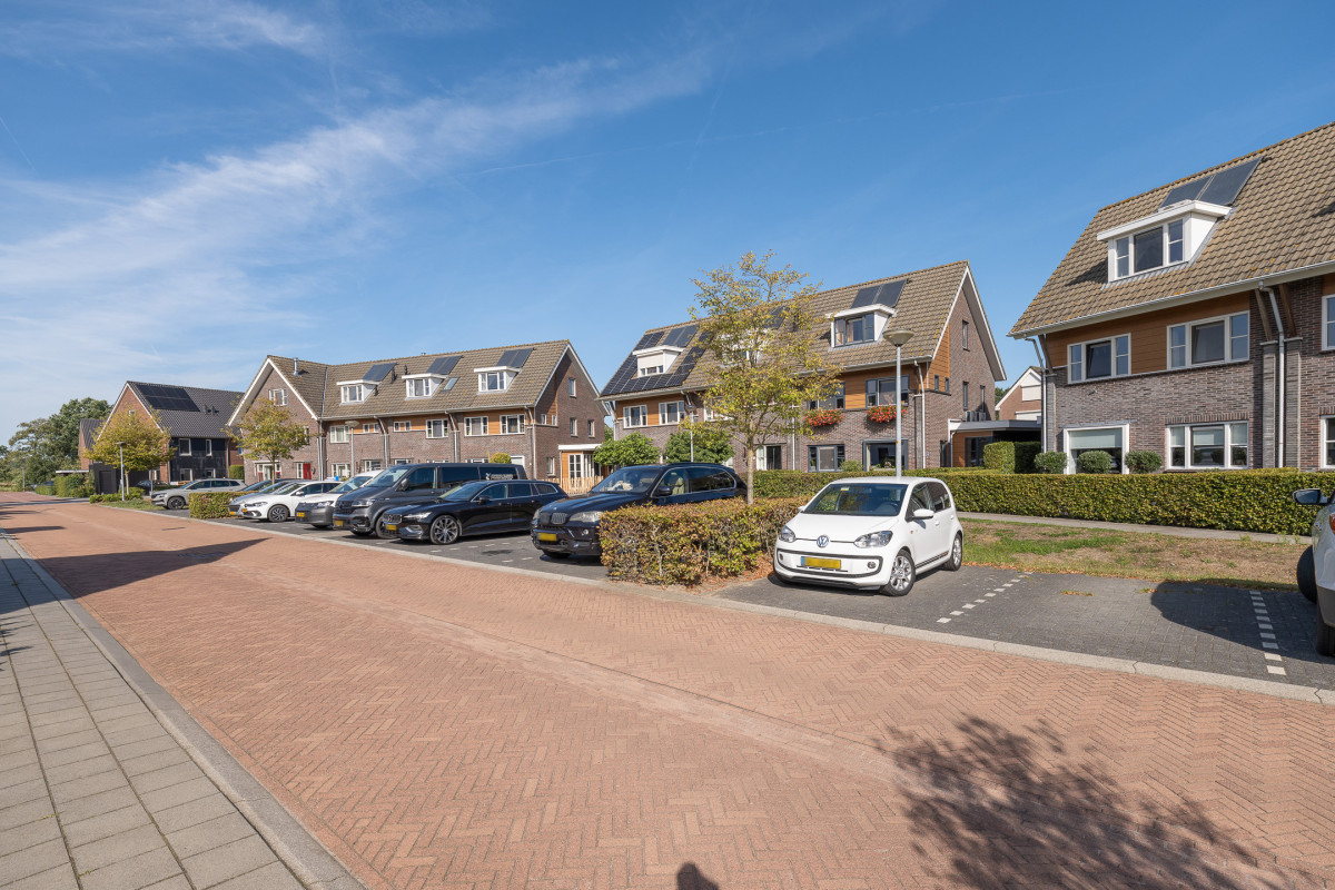 Blauwgras 22 (afbeelding 64)