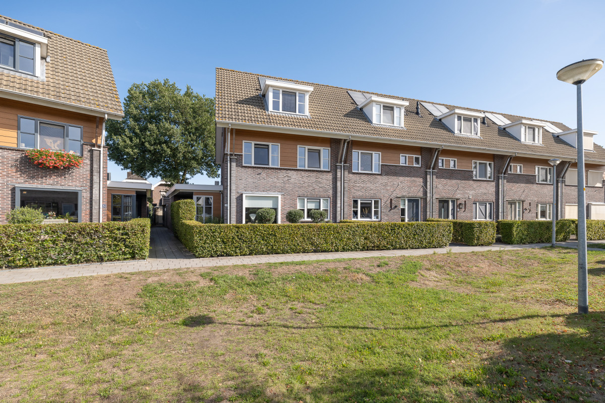 Blauwgras 22 (afbeelding 65)