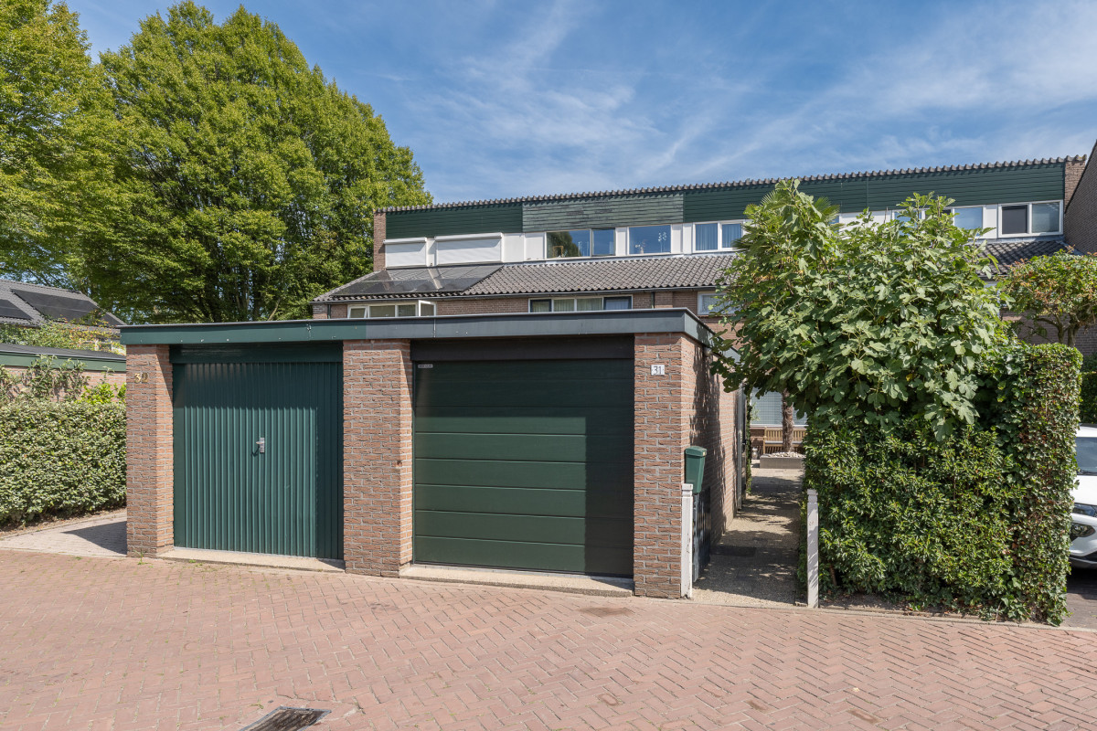 Doornenburg 31 (afbeelding 1)