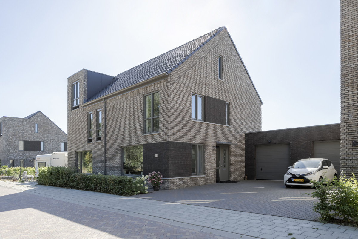Pinksterbloem 66 (afbeelding 1)