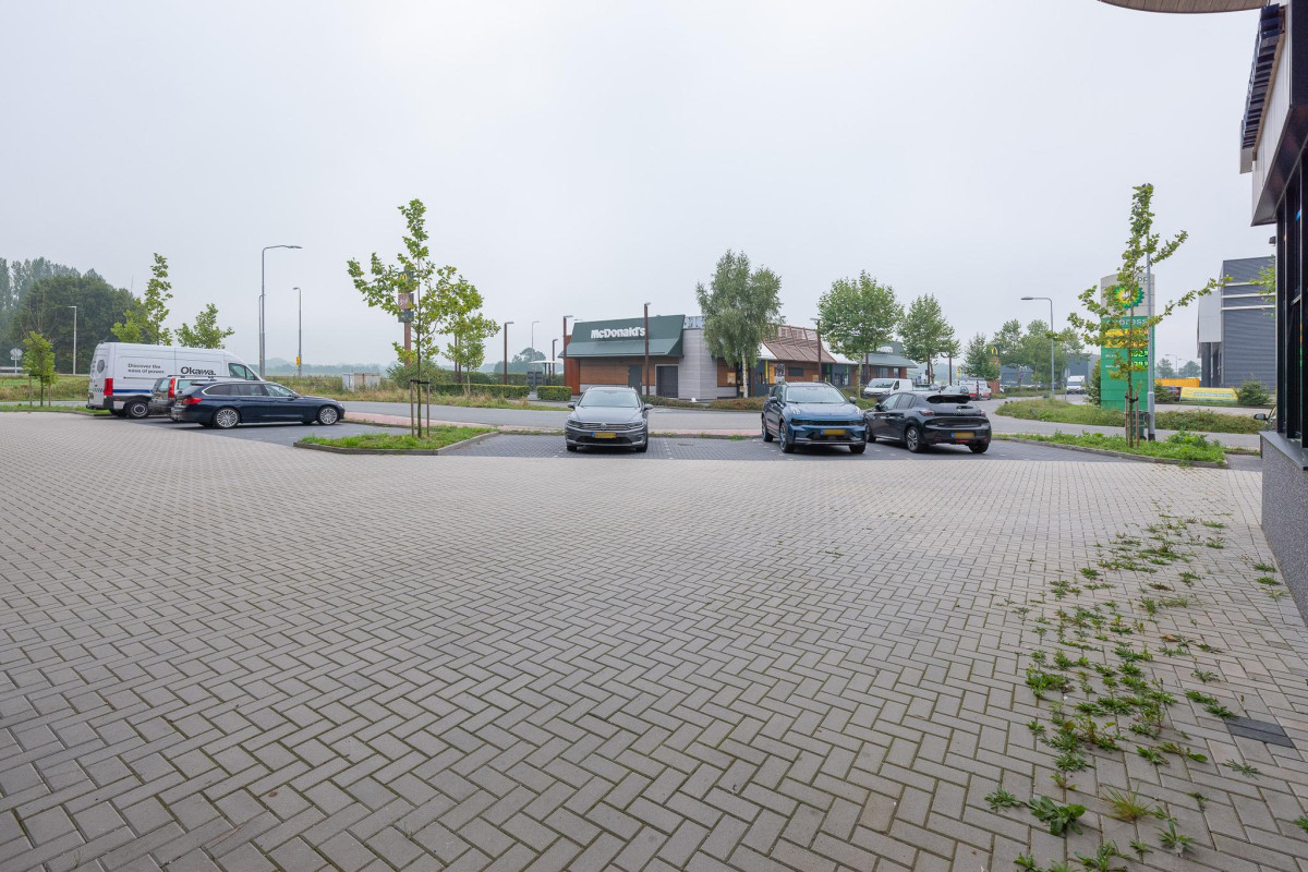 De Driest 22 (afbeelding 17)